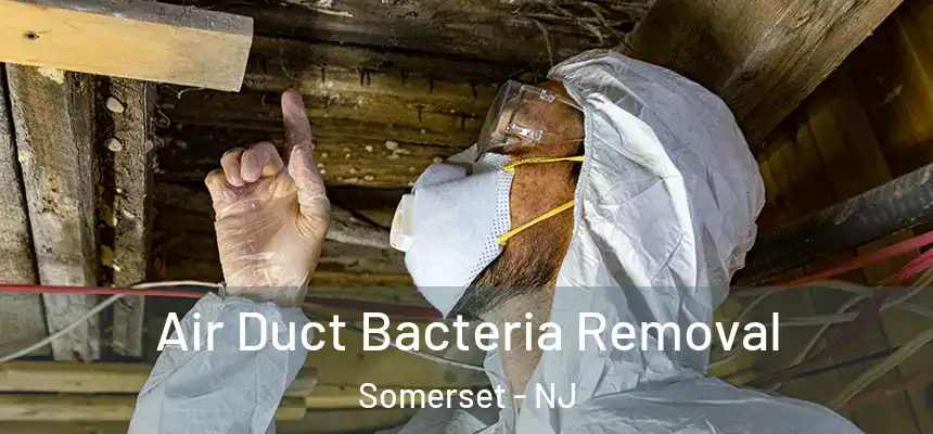  Air Duct Bacteria Removal Somerset - NJ