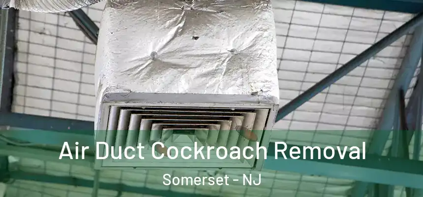 Air Duct Cockroach Removal Somerset - NJ