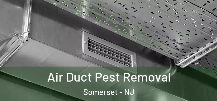 Air Duct Pest Removal Somerset - NJ