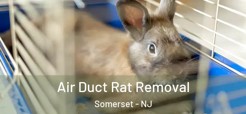 Air Duct Rat Removal Somerset - NJ