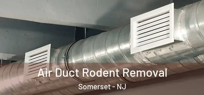 Air Duct Rodent Removal Somerset - NJ