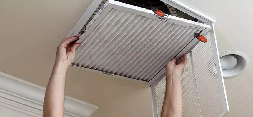 Preventive Cockroach-Proofing for Ducts in Somerset
