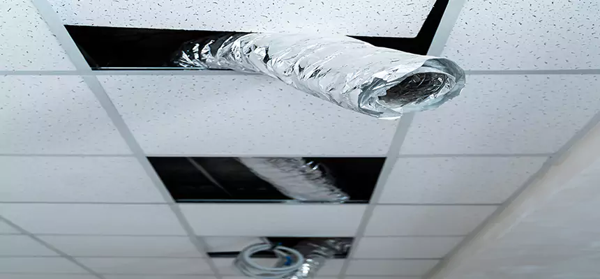 Affordable HVAC Sanitizing After Pest Removal in Somerset