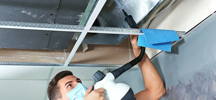 Our Air Duct Rodent Removal Services in Somerset, NJ