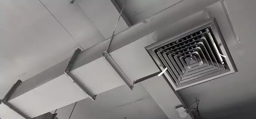 Our Rodent Droppings In Vents Services in Somerset, NJ