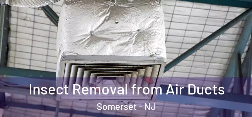 Insect Removal from Air Ducts Somerset - NJ