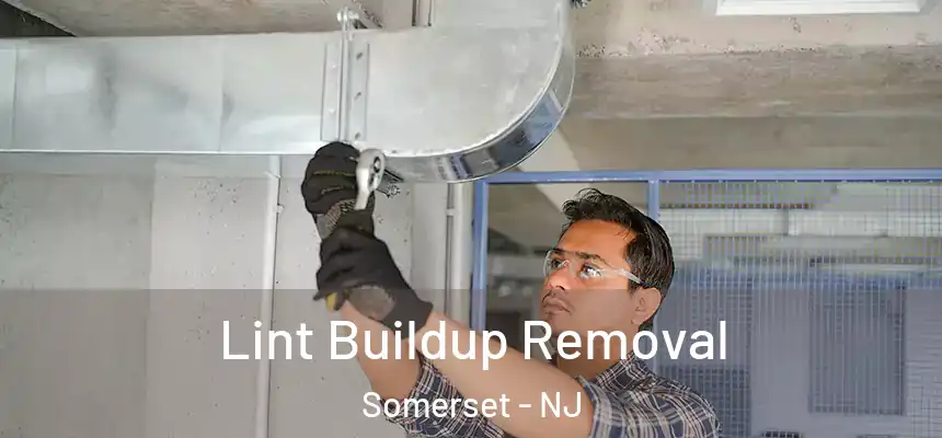 Lint Buildup Removal Somerset - NJ