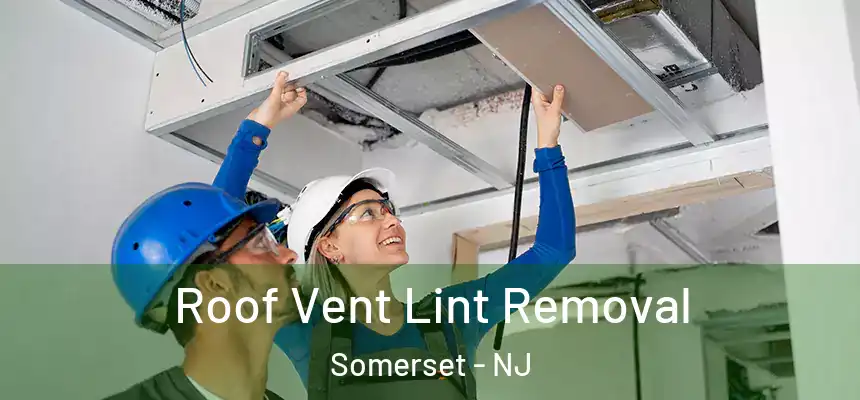 Roof Vent Lint Removal Somerset - NJ