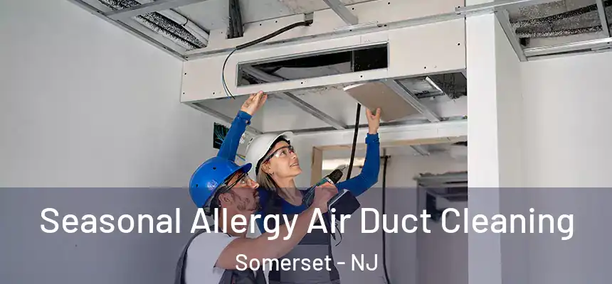  Seasonal Allergy Air Duct Cleaning Somerset - NJ