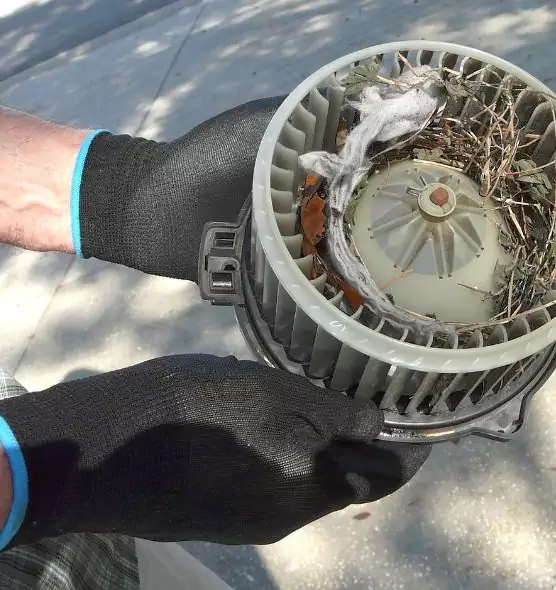 About Air Duct Rat Removal in Somerset, NJ