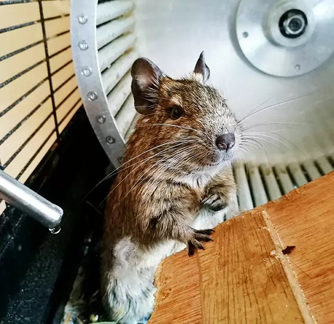 Why Homeowners & Businesses Trust Us Somerset, NJ