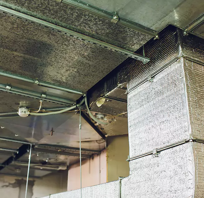 Why Homeowners & Businesses Trust Us in Somerset, NJ?